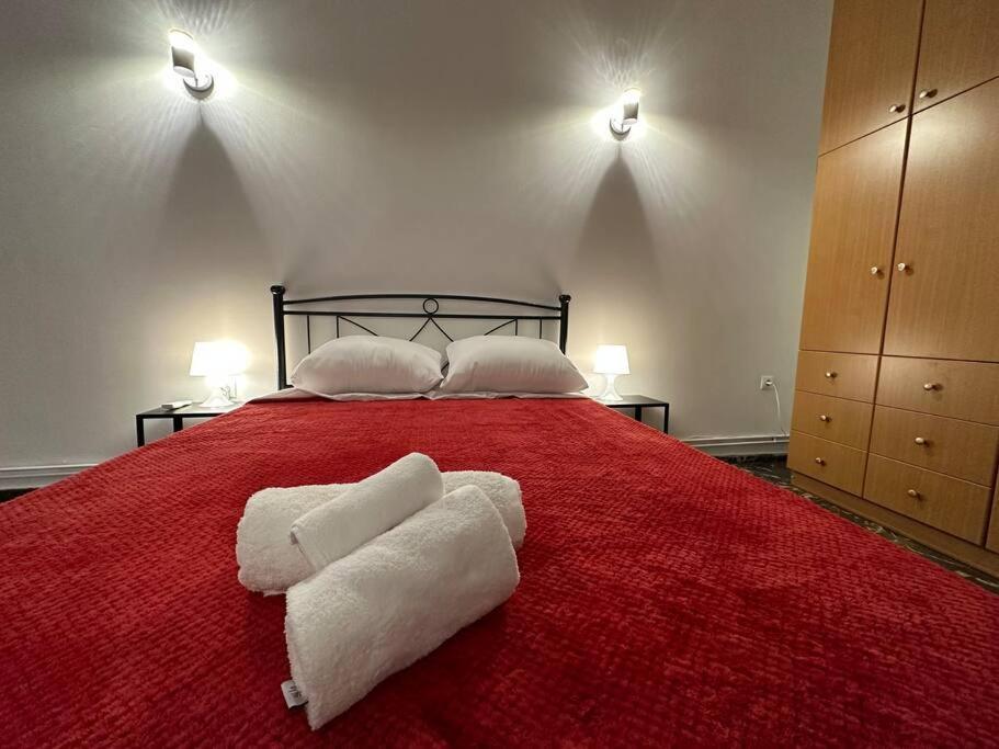 Modern & Minimal Athens Apartment ภายนอก รูปภาพ